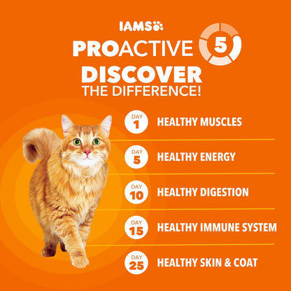 PROACTIVE HEALTH Adult Healthy Dry Cat Food with Salmon Cat Kibble, 7 Lb. Bag